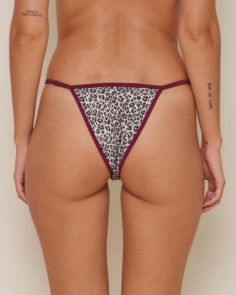 Pack of 3 Tangas ☆