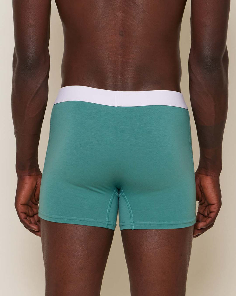 Deep Sea Brief